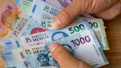 Descubre el negocio más rentable para enriquecerte rápido según IA