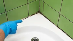 Moho en las juntas de las baldosas: método experto sencillo que elimina el hongo para siempre