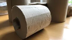 No tire los tubos de cartón del papel higiénico: mira las cosas bonitas que puedes hacer con ellos