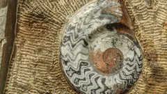 Descubrimientos arqueológicos que desafían la historia y el ingenio de nuestros ancestros
