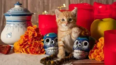 ¿Cuándo se instala la ofrenda para mascotas y qué debe contener según la costumbre mexicana?